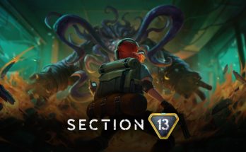 Section 13