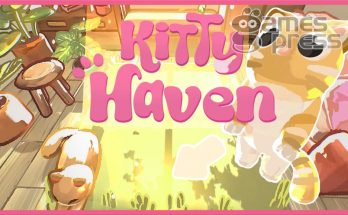 Kitty Haven