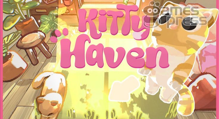 Kitty Haven