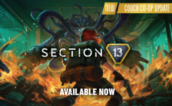 Section 13