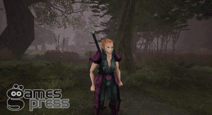 Sword Hero Combat Arena