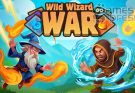 Wild Wizard War