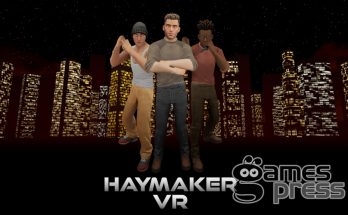 Haymaker