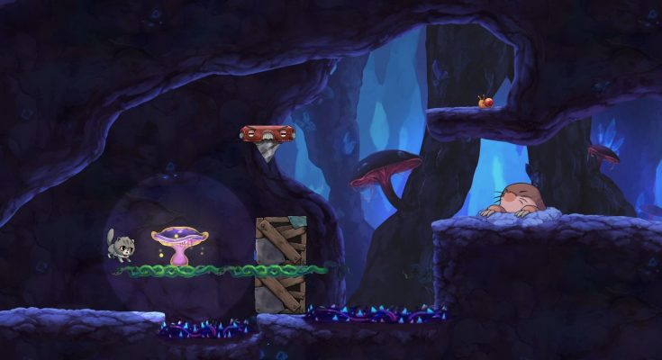 Princess of the Water Lilies