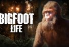 Bigfoot Life