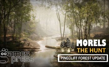 Morels: The Hunt