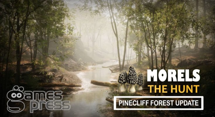 Morels: The Hunt