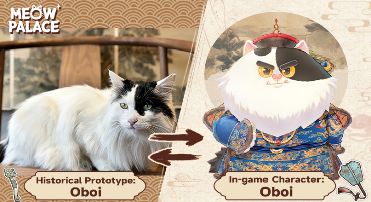 Meow Palace Forbidden City