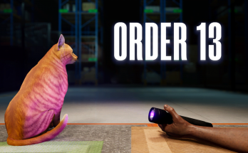 ORDER 13