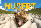 Hubert